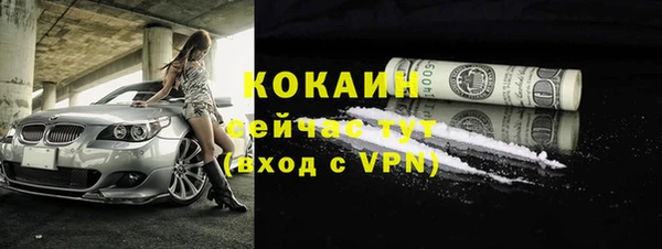 индика Абинск