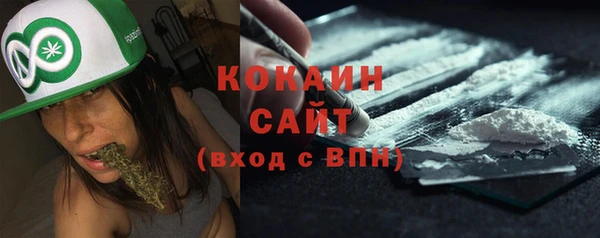 индика Абинск