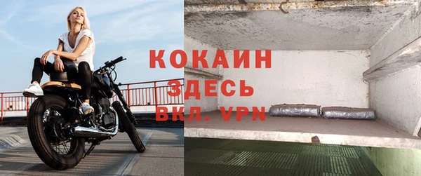 индика Абинск