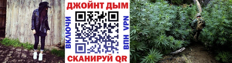 Конопля марихуана Бийск